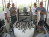 (09/28/2014) - Nice Striped Bass